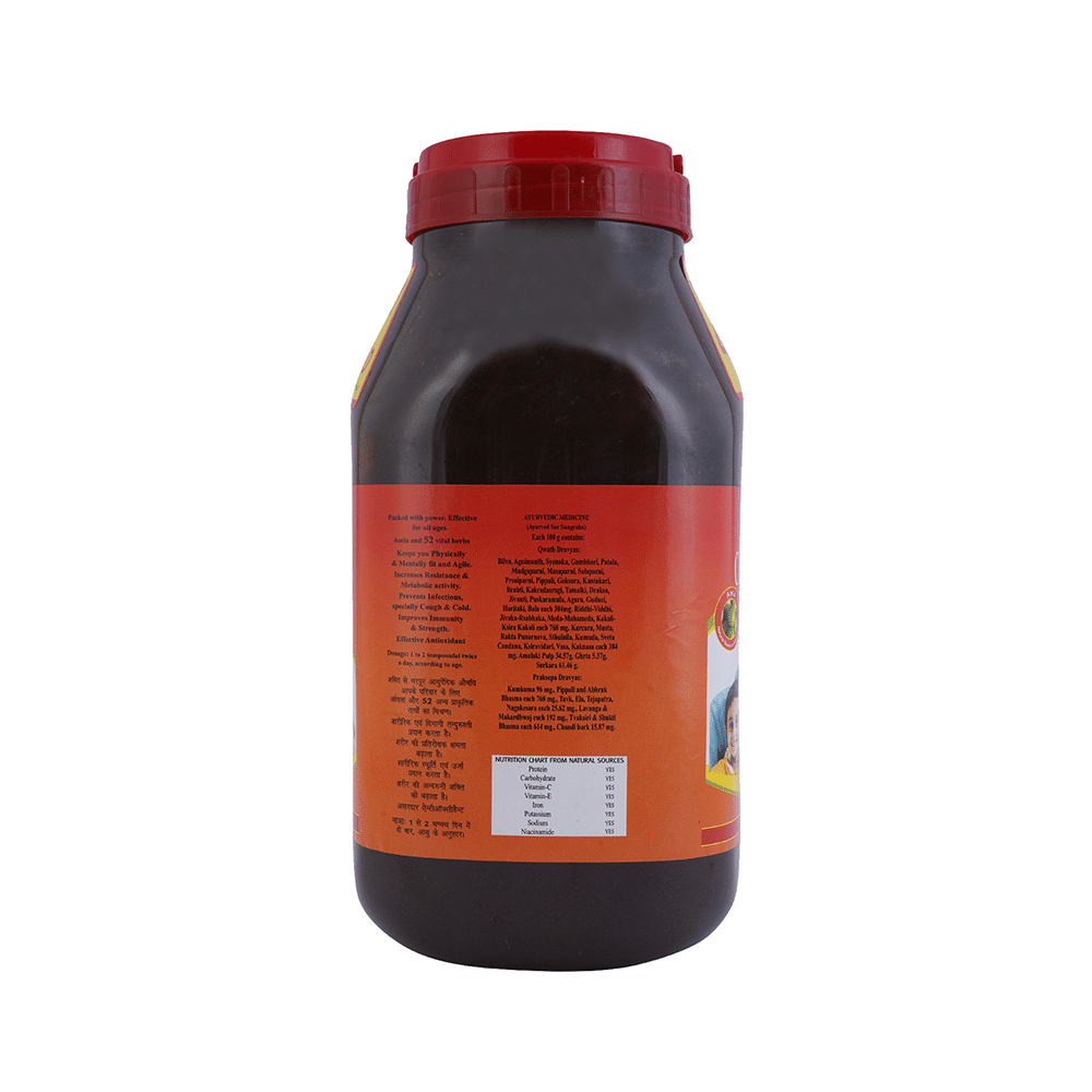 Baidyanath (Jhansi) Chyawanprash Special - Image 3