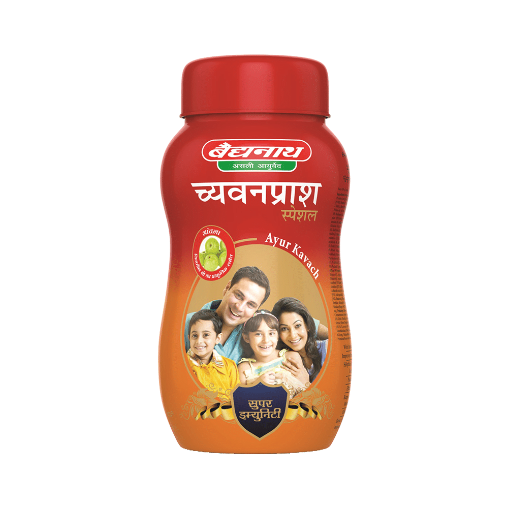 Baidyanath (Nagpur) Chyawanprash Special with Amla | For Immunity - Image 3