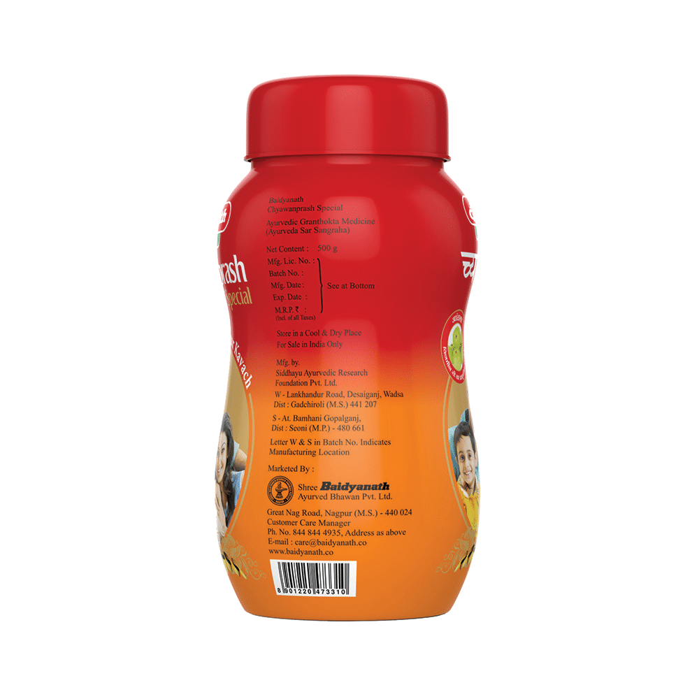 Baidyanath (Nagpur) Chyawanprash Special with Amla | For Immunity - Image 4