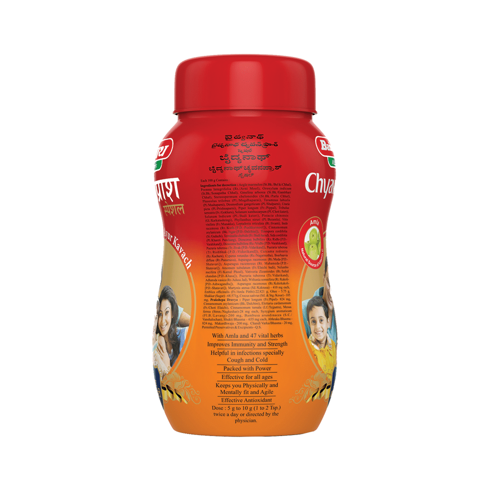Baidyanath (Nagpur) Chyawanprash Special with Amla | For Immunity - Image 2