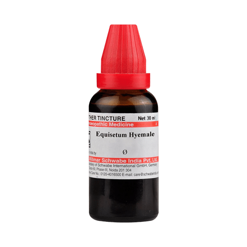 Dr Willmar Schwabe India Equisetum Hyemale Mother Tincture Q - Image 1