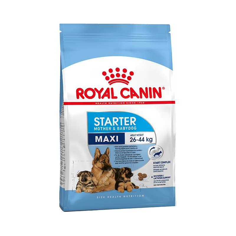 Royal Canin Maxi Dog Pet Food Starter - Image 1