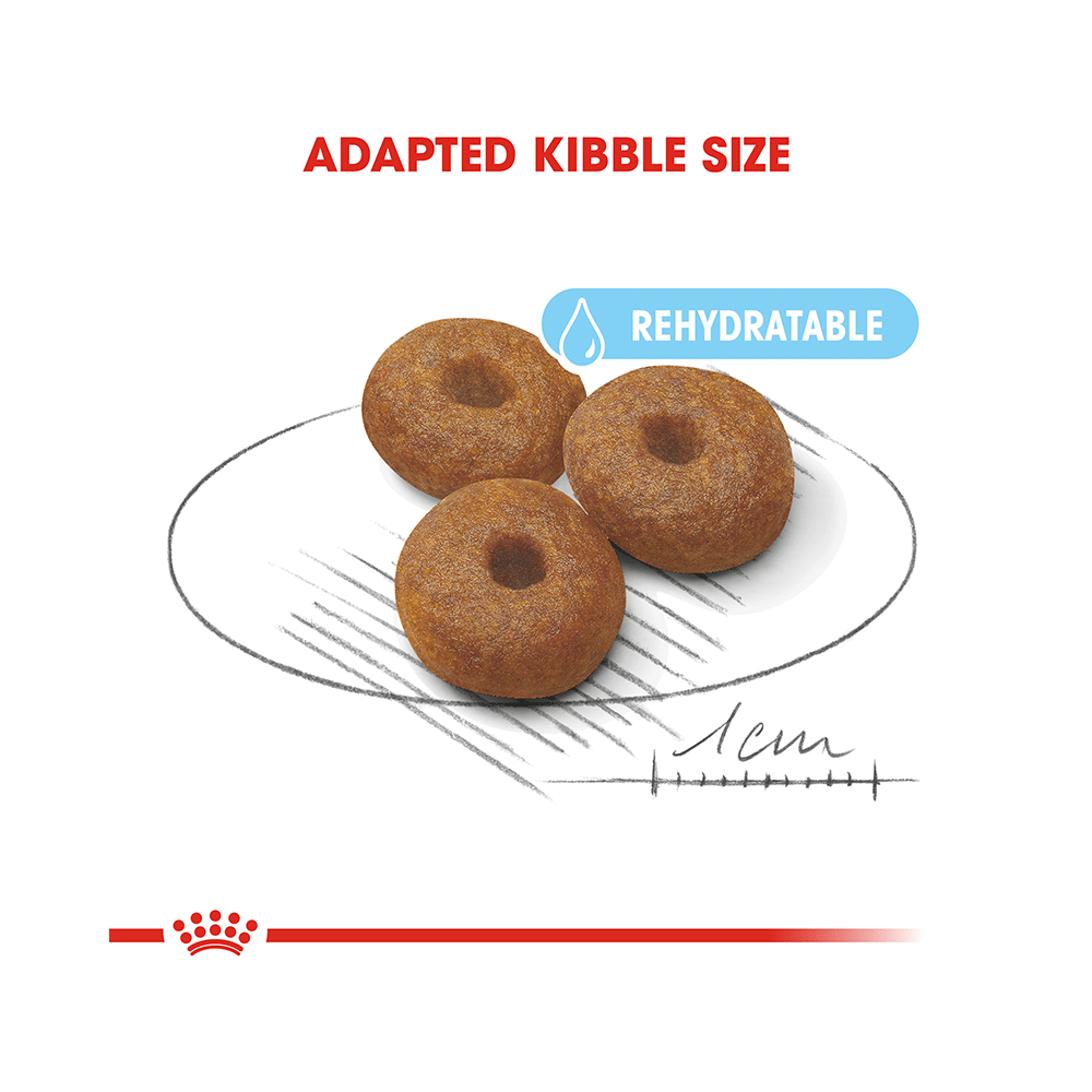 Royal Canin Maxi Dog Pet Food Starter - Image 4