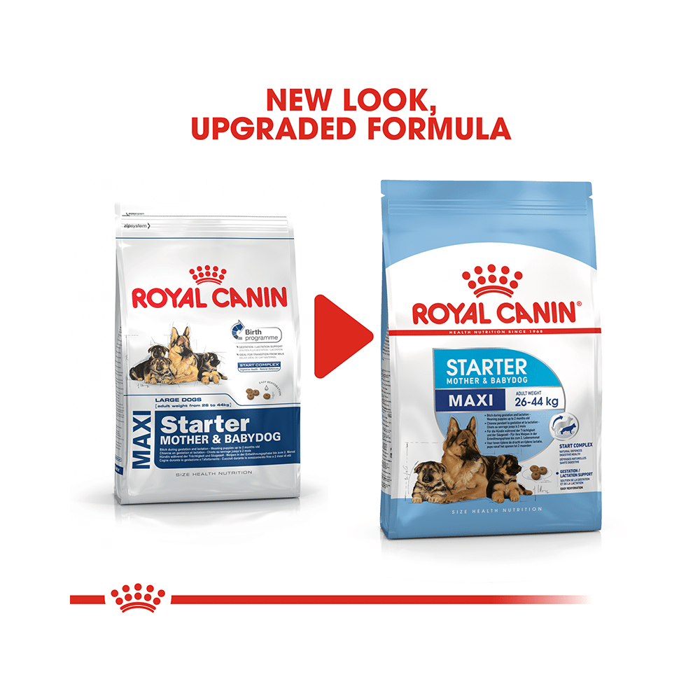 Royal Canin Maxi Dog Pet Food Starter - Image 6