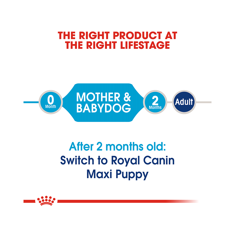 Royal Canin Maxi Dog Pet Food Starter - Image 2