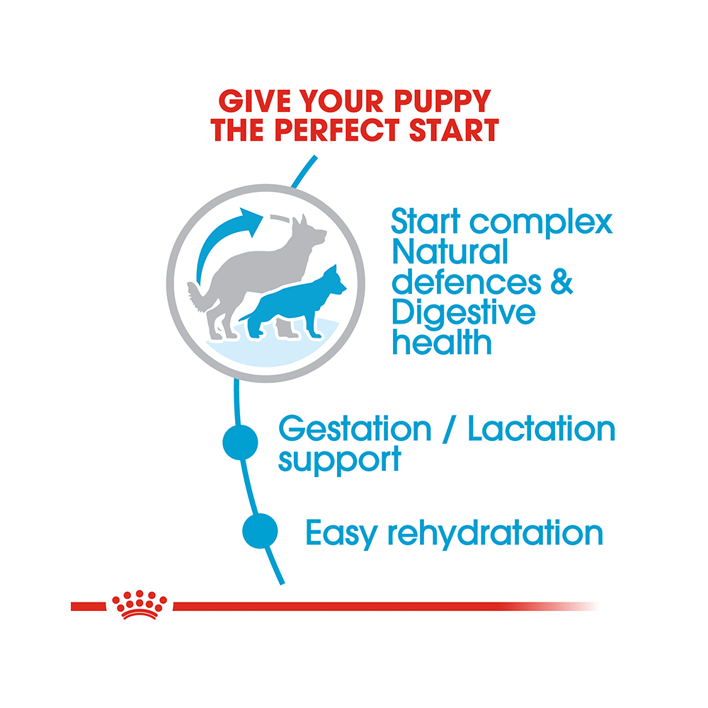 Royal Canin Maxi Dog Pet Food Starter - Image 3
