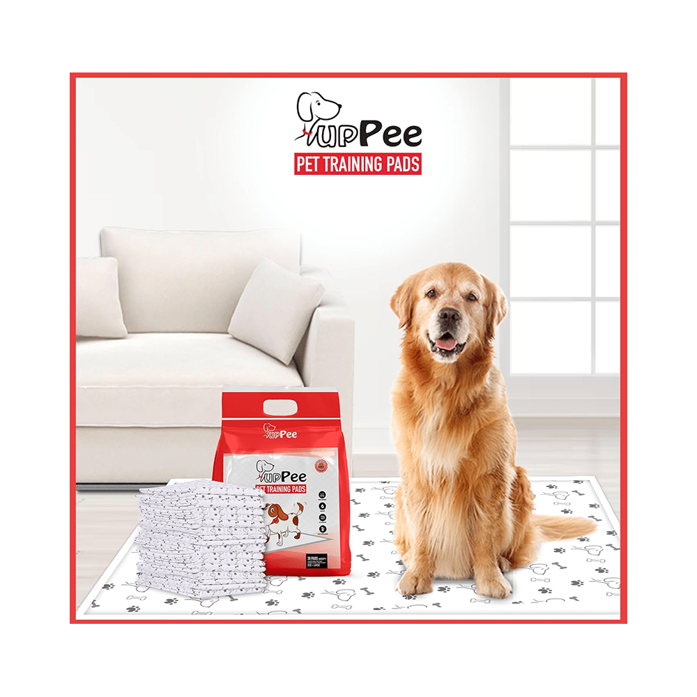 Puppee Pet Training Pads (30 Each) - Image 3