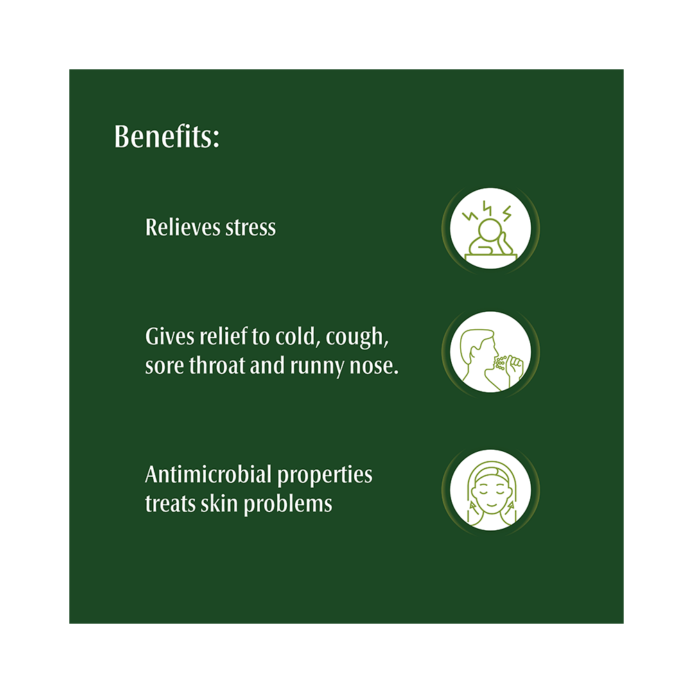 Dwibhashi Eucalyptus Tailaparna Tailam 100% Pure Therapeutic Grade Essential Oil - Image 6