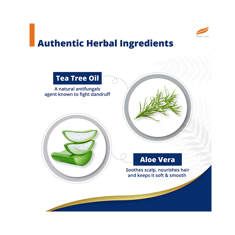 Himalaya Anti-Dandruff with Natural 5 Protein Technology Shampoo Tea Tree - Image 3