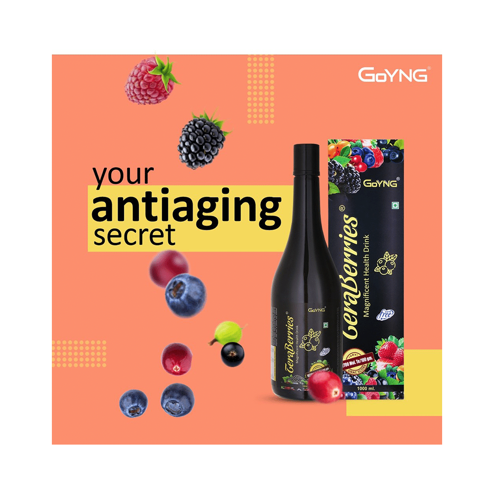 GoYNG Tera Berries Magnificient Health Drink | Sugar Free - Image 6