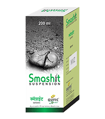 Smashit Suspension - Image 1