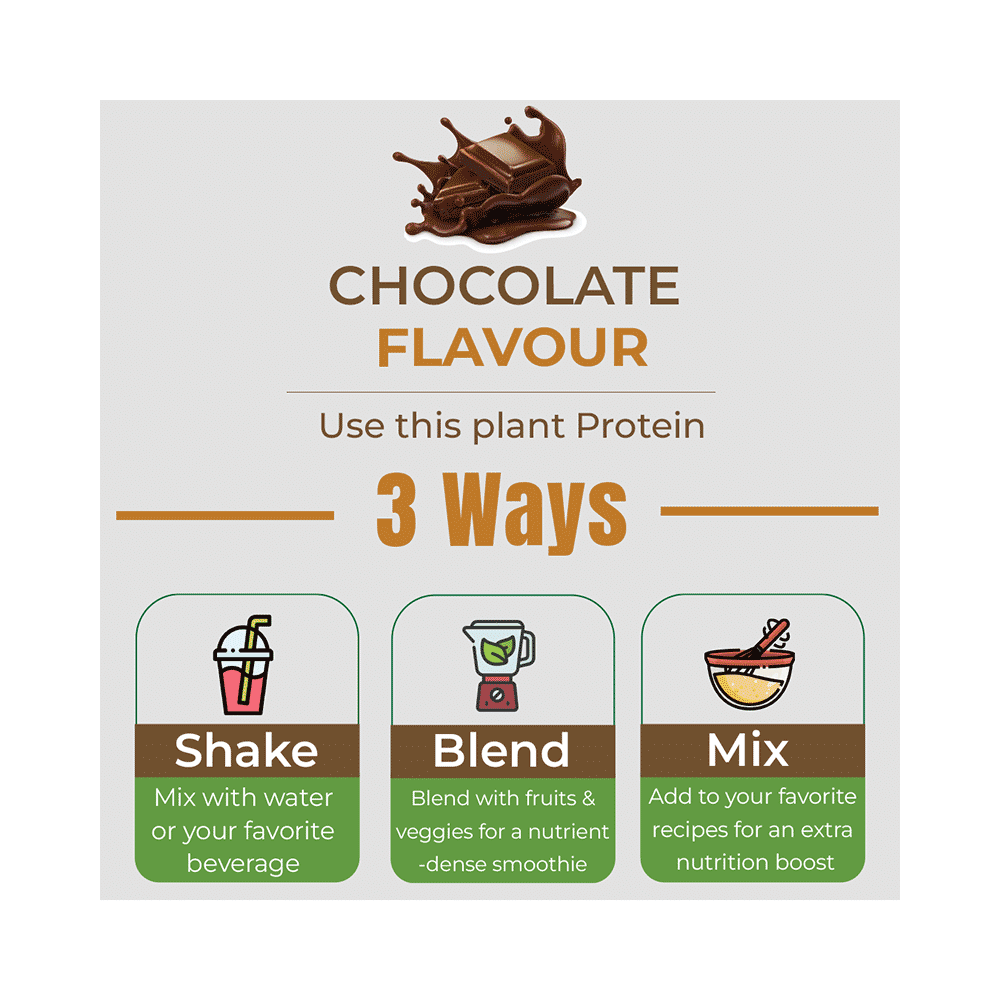 Rooted Active Naturals Plant Protein + Superfoods Powder - Image 7