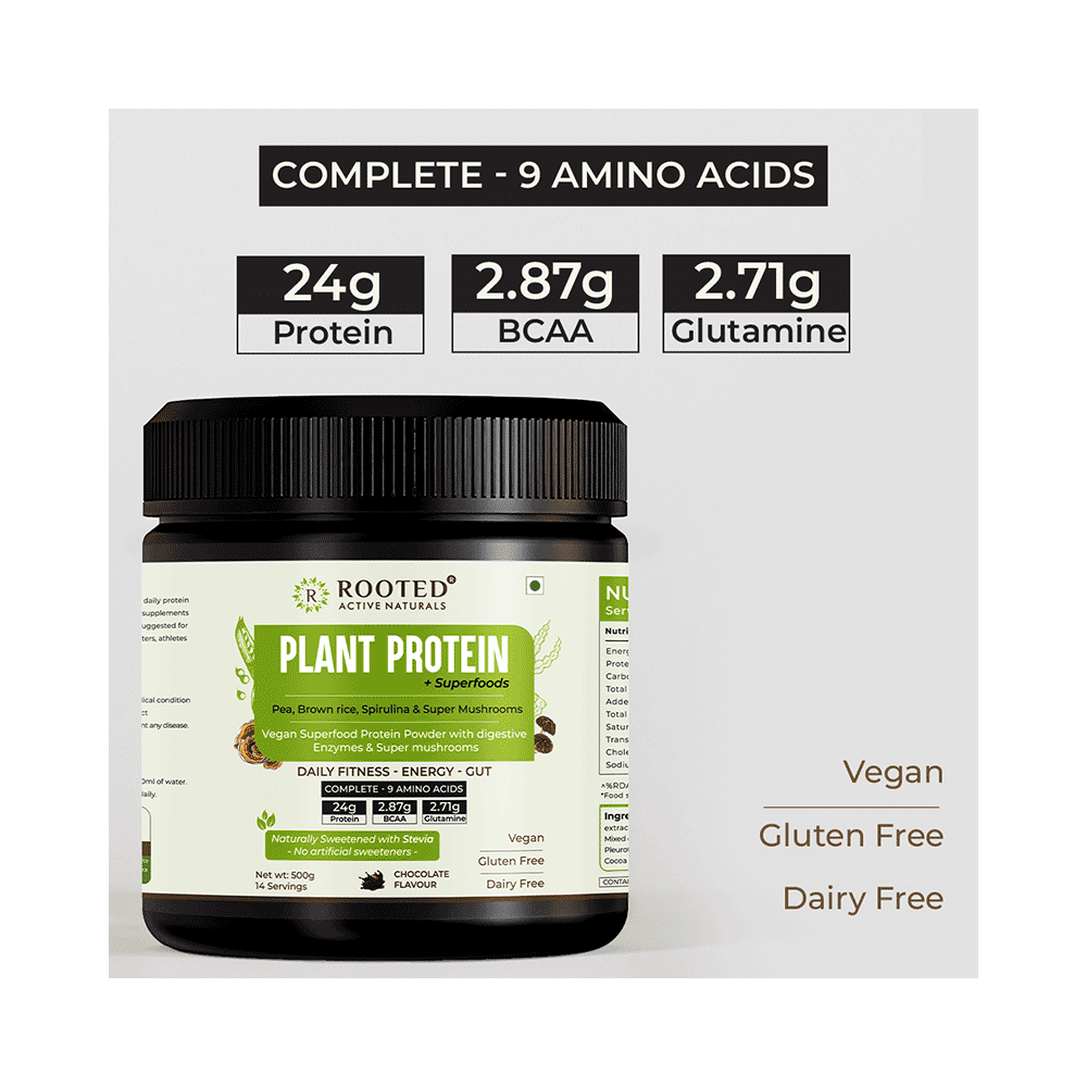 Rooted Active Naturals Plant Protein + Superfoods Powder - Image 4