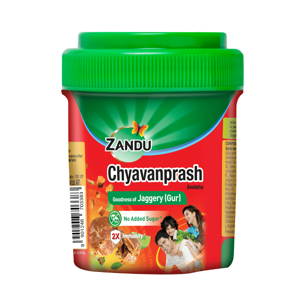 Zandu Chyavanprash Avaleha | For Immunity, Strength & Stamina - Image 1