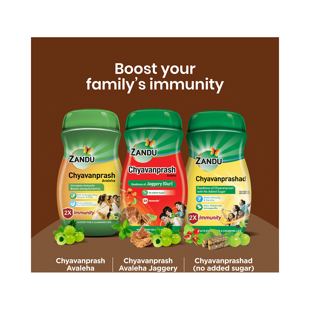 Zandu Chyavanprash Avaleha | For Immunity, Strength & Stamina - Image 8