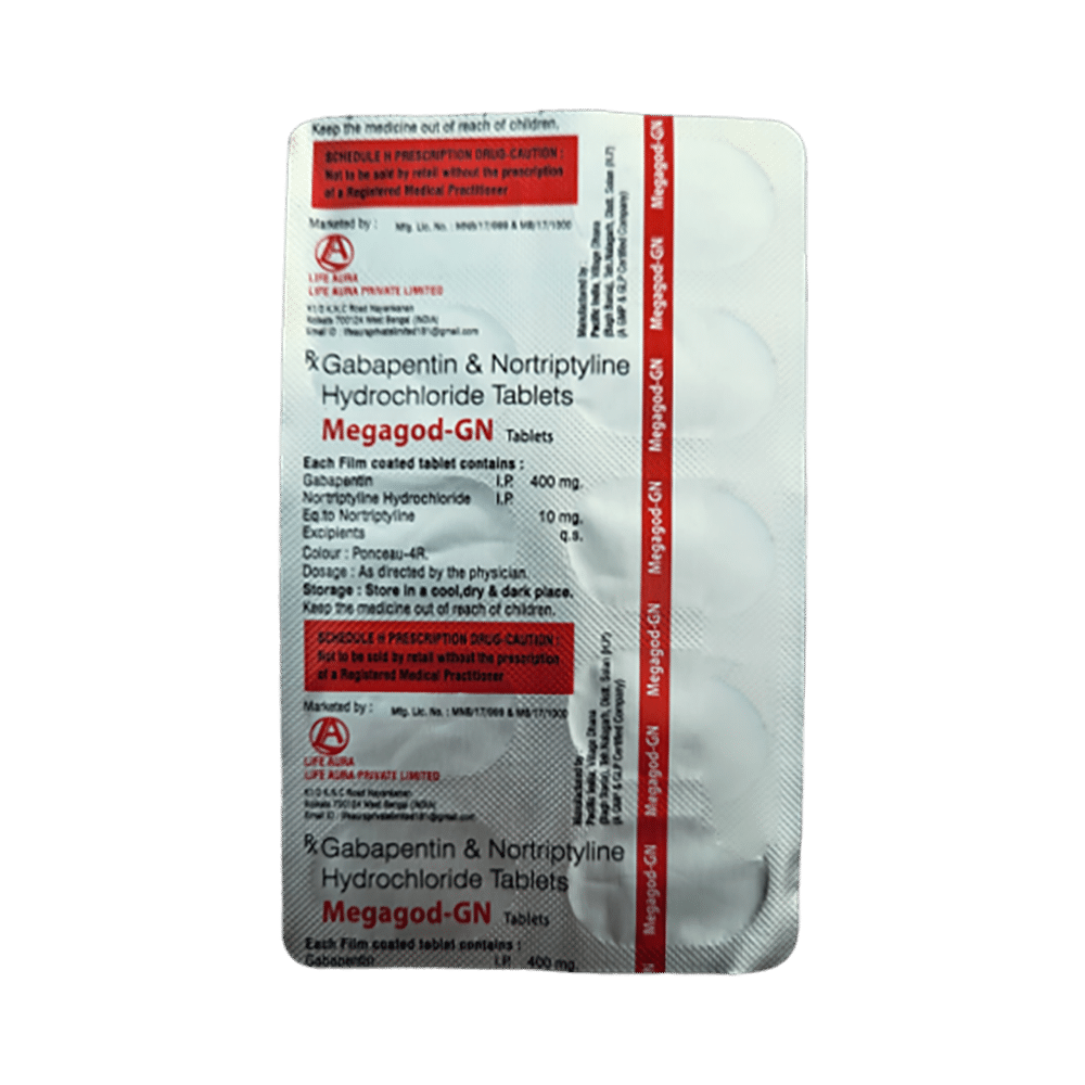 Megagod-GN Tablet - Image 2