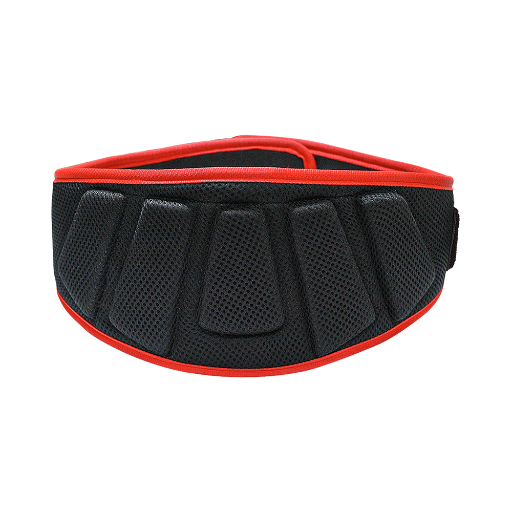 MuscleXP Gym Nylon Padded Weightlifting Belt Black Medium - Image 1