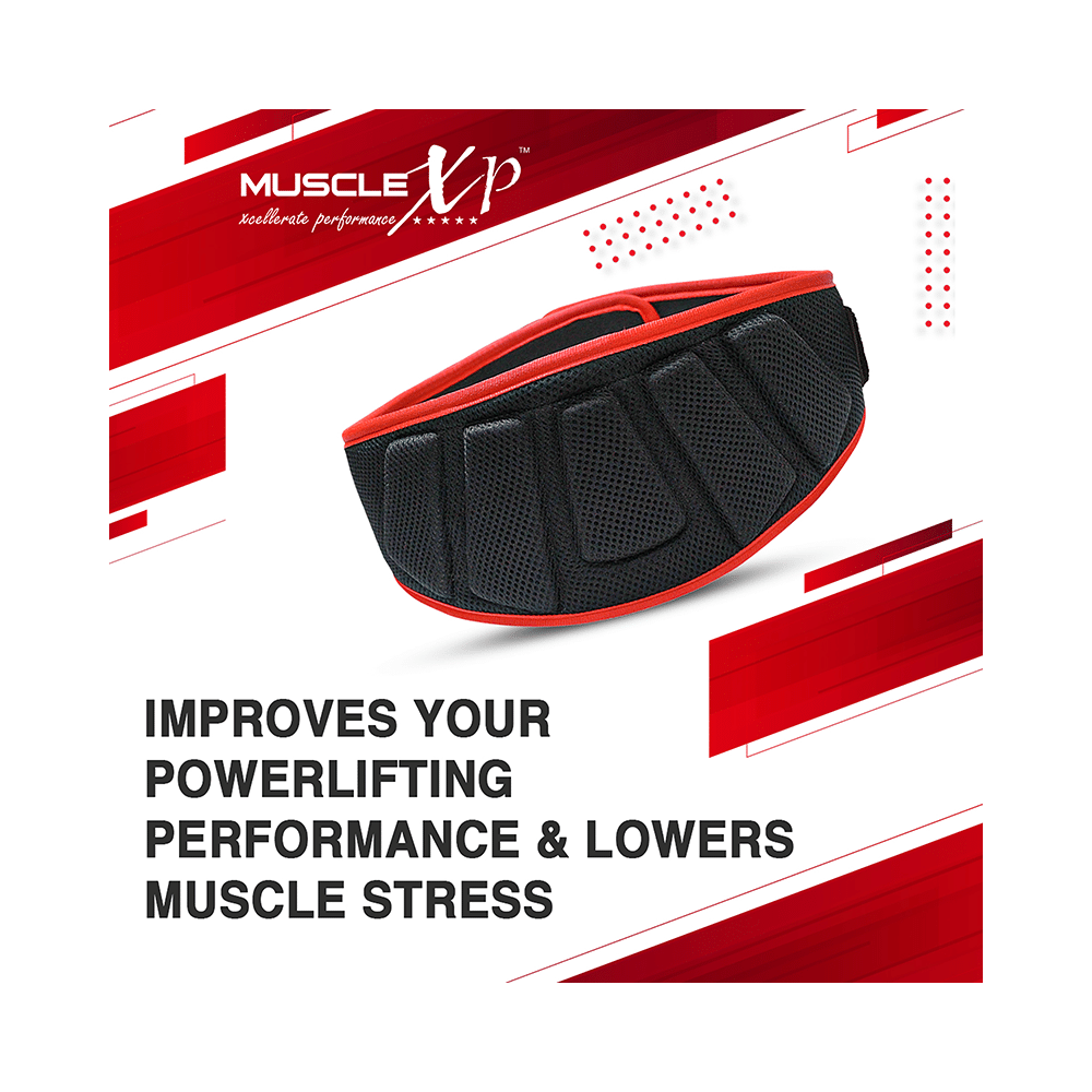 MuscleXP Gym Nylon Padded Weightlifting Belt Black Medium - Image 5
