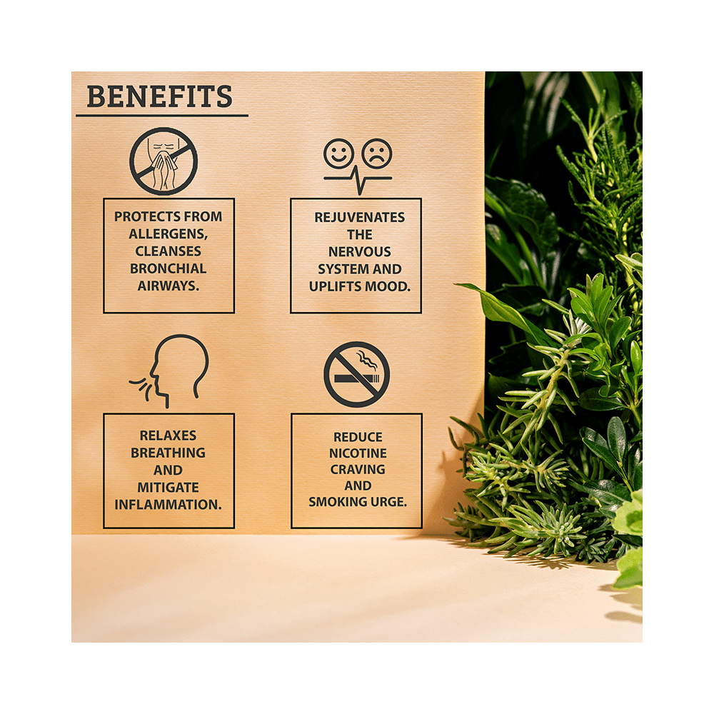 Bioayurveda Bio Smokingquit Tablet - Image 2