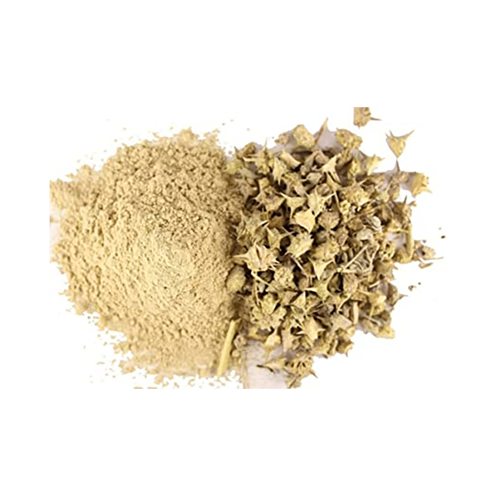 Azamdeal Bada Gokhru Powder - Image 2