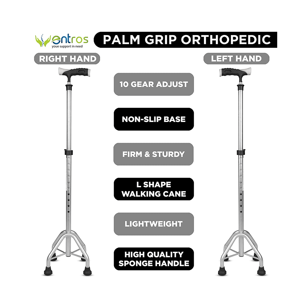 Entros KL946L Premium 4 Leg Straight Walking Stick with Support - Image 3