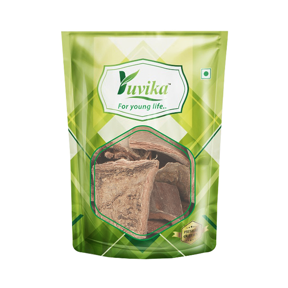 Yuvika Arjuna - Terminalia Arjuna - Image 1