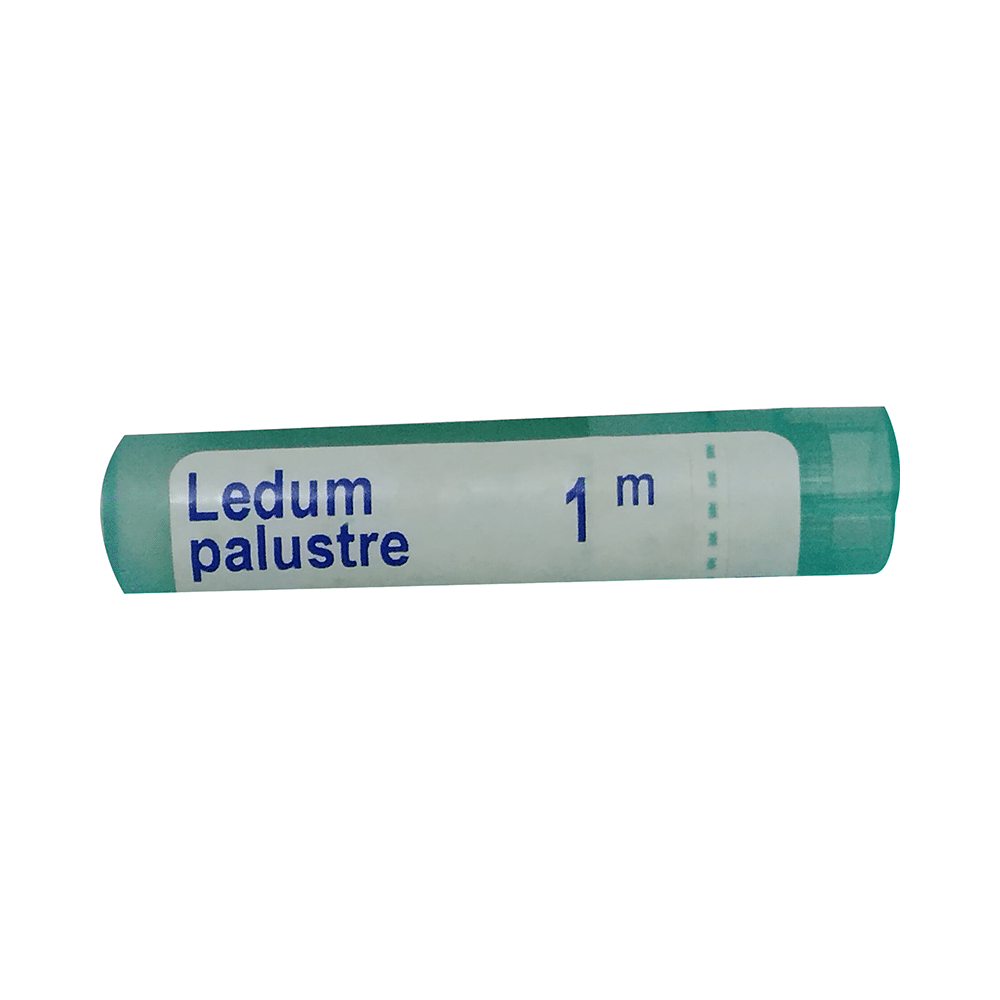 Boiron Ledum Palustre Pellets 1M - Image 1