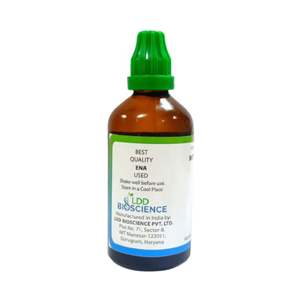LDD Bioscience Plantago Major Ext Mother Tincture Q - Image 2