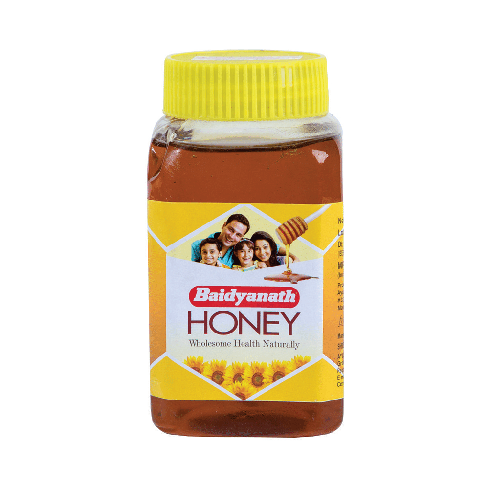 Baidyanath (Nagpur) Honey - Image 1