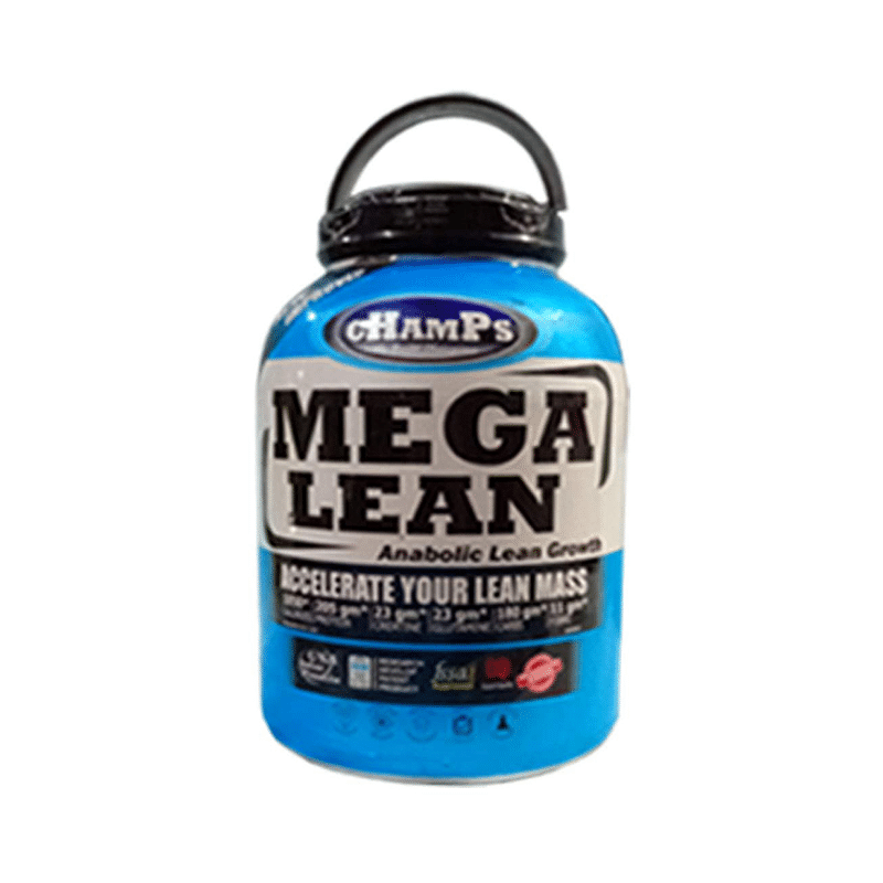 Champs Mega Lean Chocolate Brownie with Protein Funnel Free - Image 1