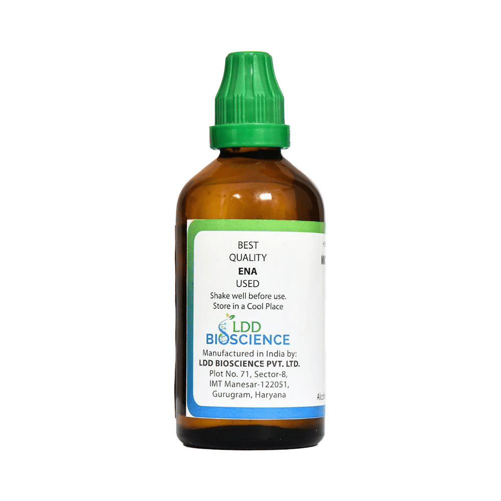 LDD Bioscience Yerba Santa Mother Tincture Q - Image 2