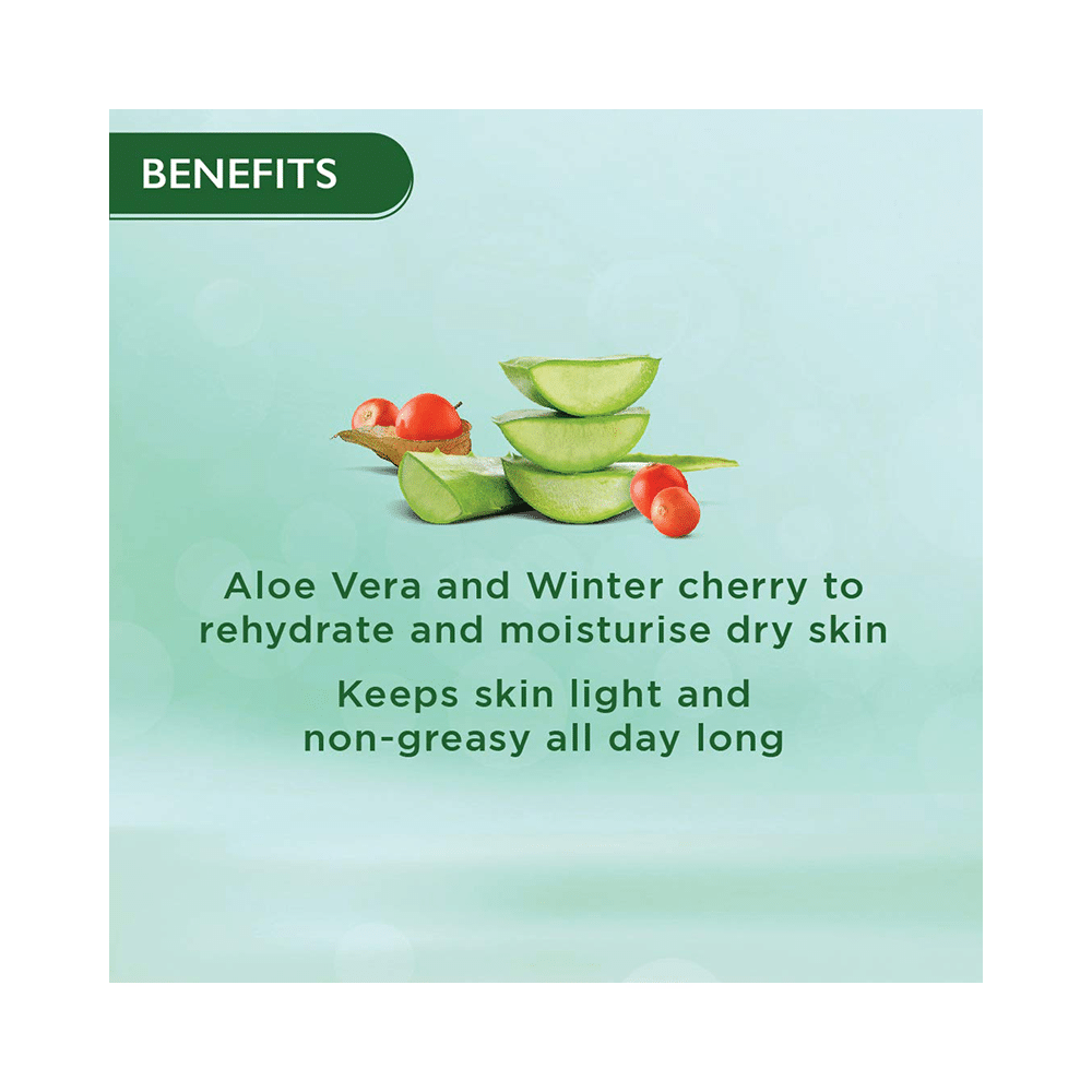 Himalaya Nourishing Skin Cream | Lightweight & Non-Greasy - Image 4