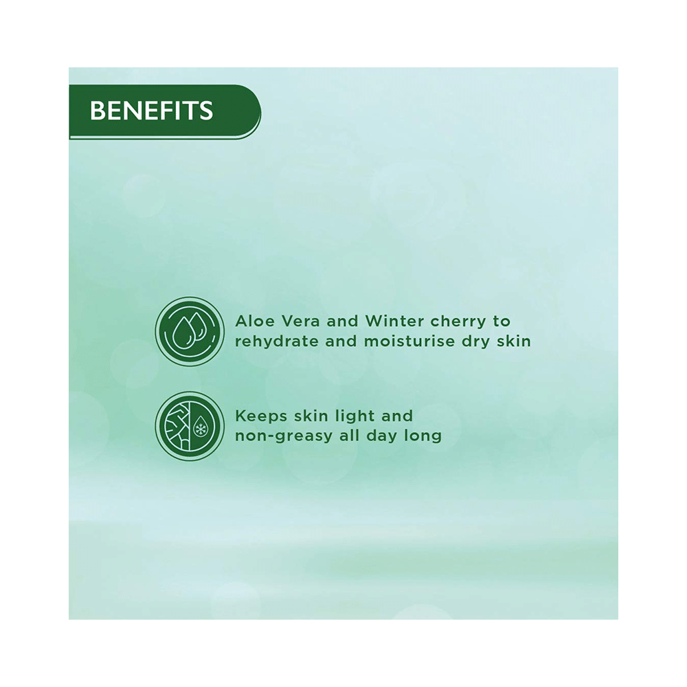 Himalaya Nourishing Skin Cream | Lightweight & Non-Greasy - Image 2