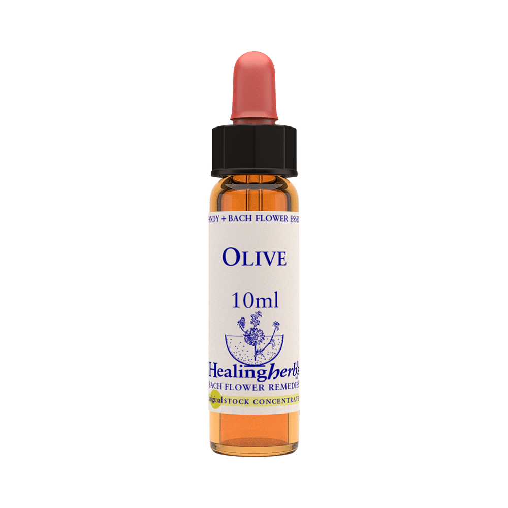 Healing Herbs Bach Flower Olive