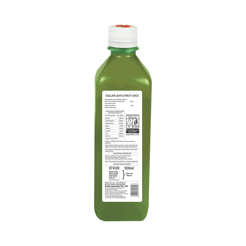 Jeevan Ras Gullar Leaf and Fruit Juice - Image 2