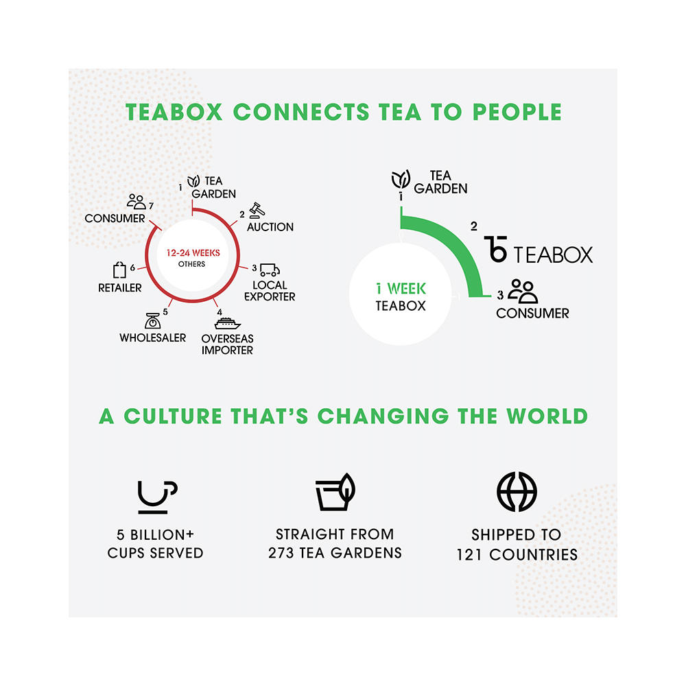 Teabox Everyday Well-Being Box 100% Whole Leaf Tea (2gm Each) - Image 3