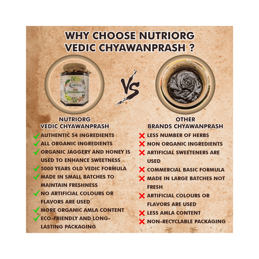Nutriorg Vedic Chyawanprash - Image 3