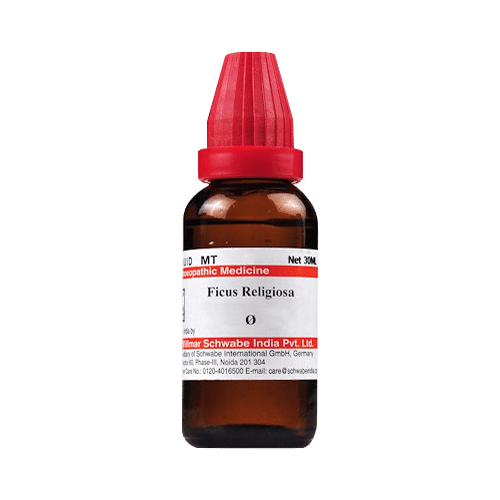 Dr Willmar Schwabe India Ficus Religiosa Mother Tincture Q - Image 1