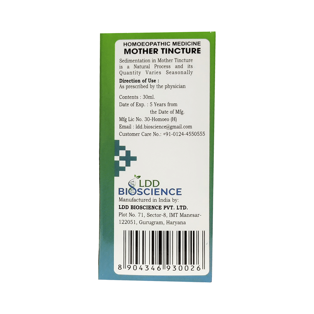 LDD Bioscience Carduus Marianus Mother Tincture Q - Image 2