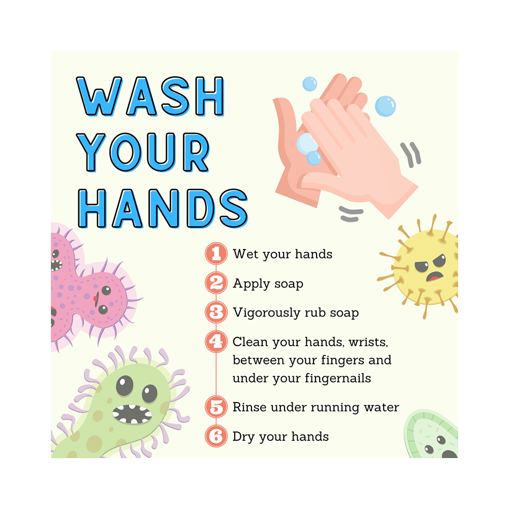 Alsence Sumedhya Herbal Hand Wash Lime & Tulsi (250ml Each) - Image 5