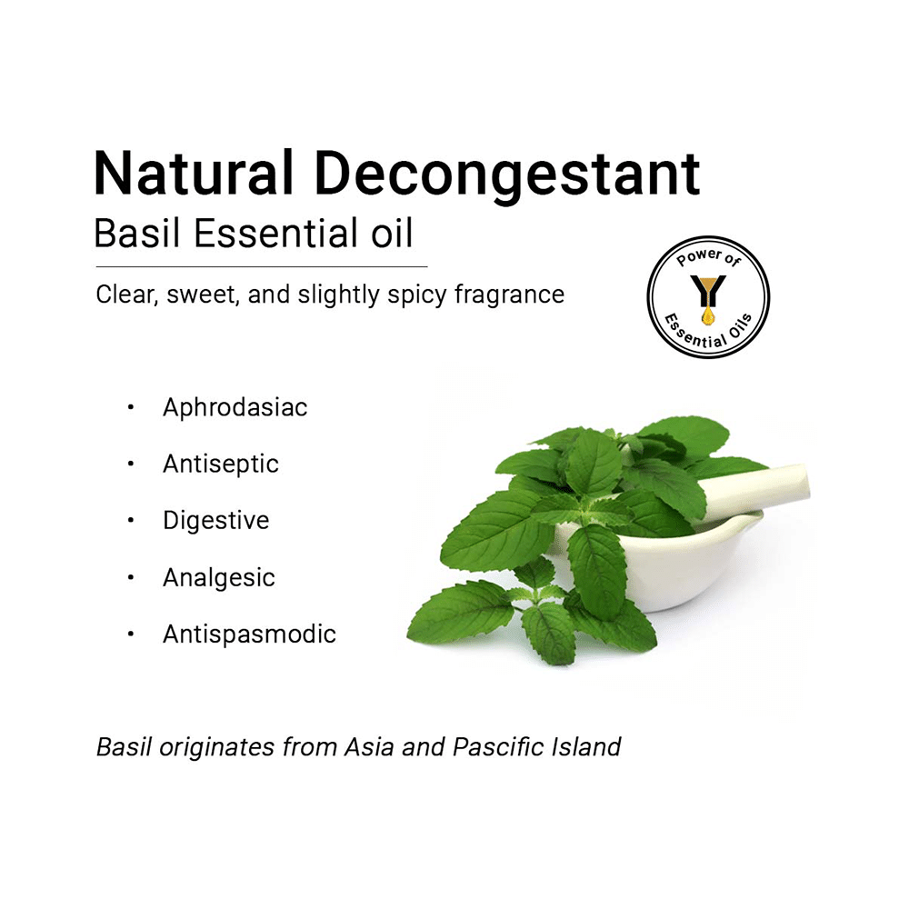 Keya Seth Aromatherapy Therapeutic Essential Oil Basil - Image 3