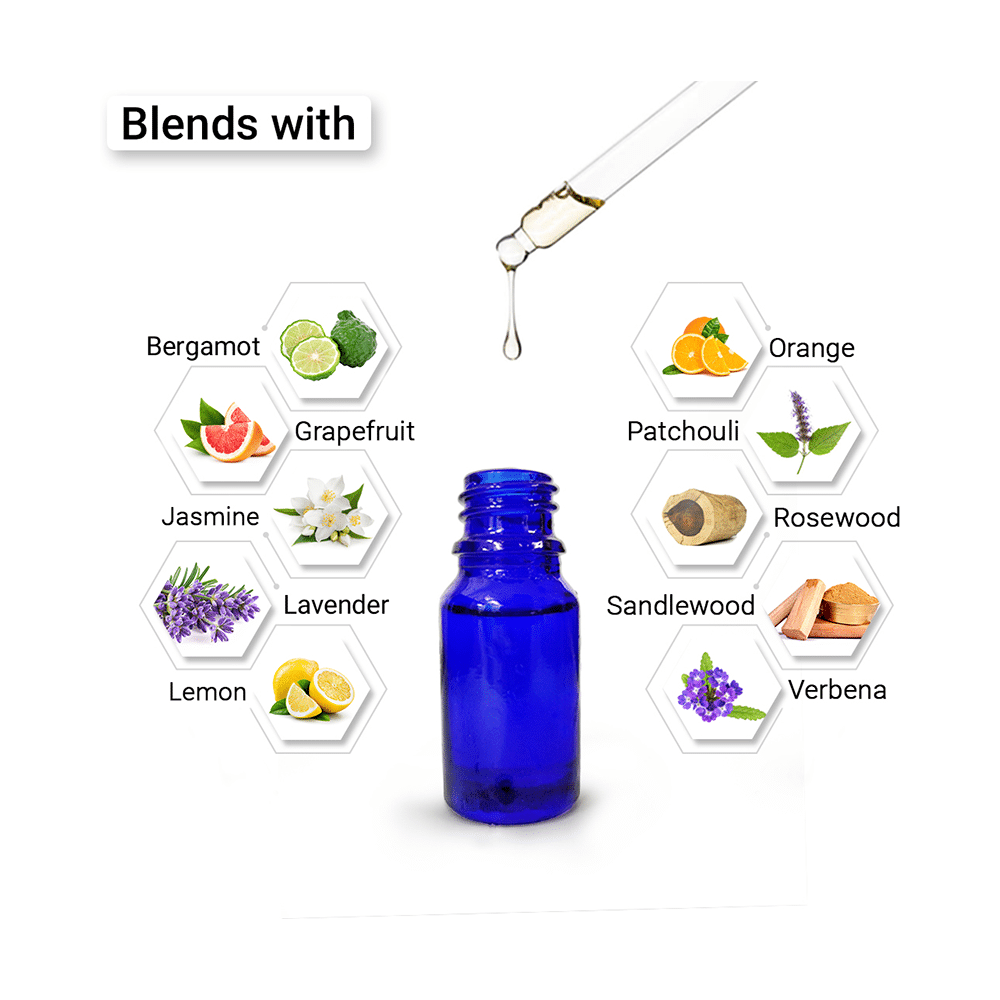 Keya Seth Aromatherapy Therapeutic Essential Oil Basil - Image 7