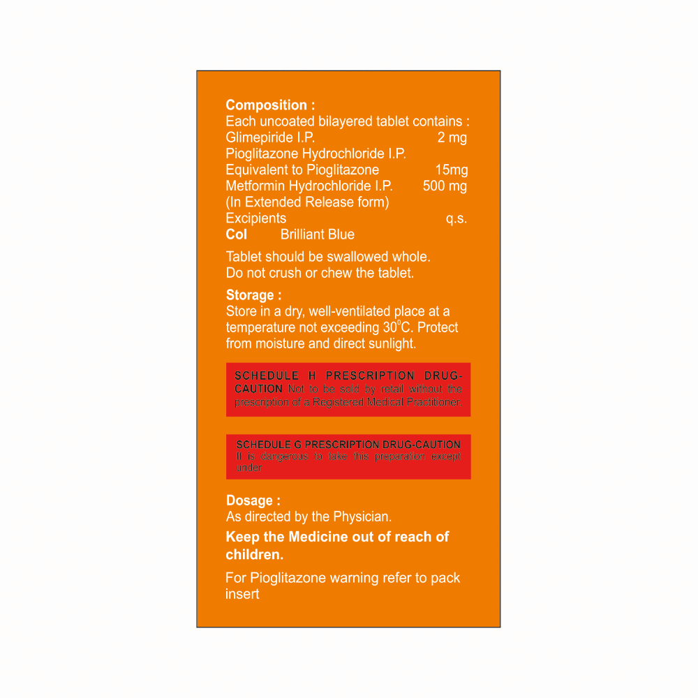 Pil GPM-SR 2 Tablet - Image 2