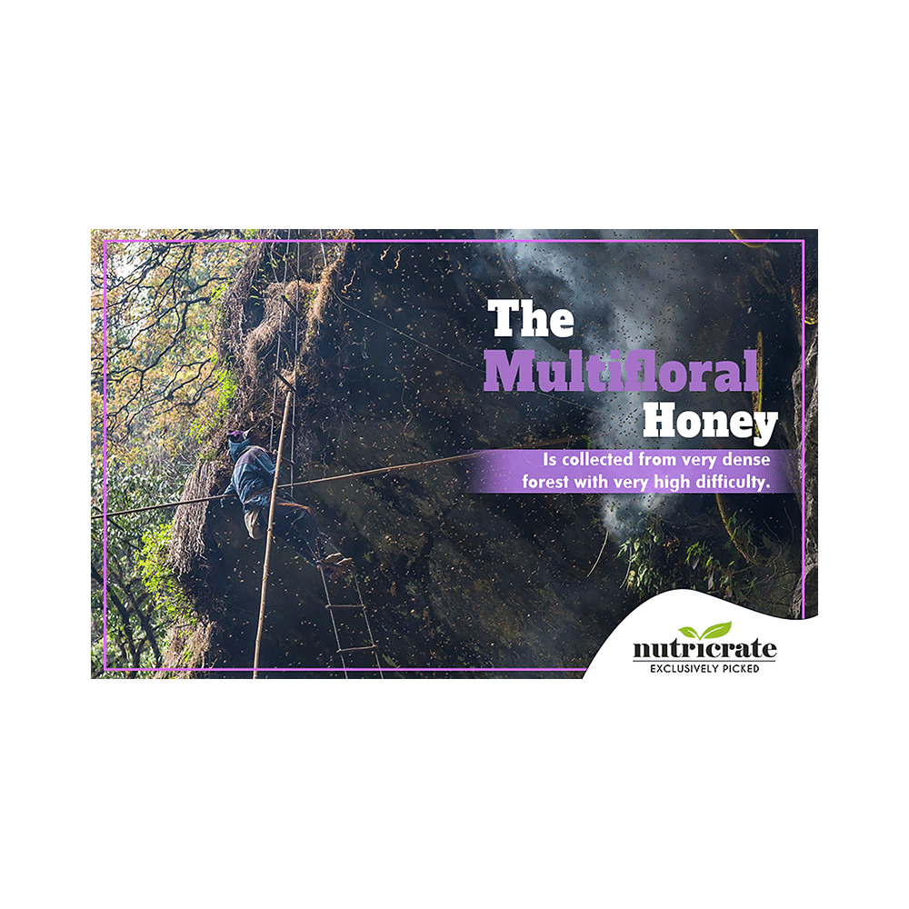 Nutricrate Multi Floral Honey - Image 8