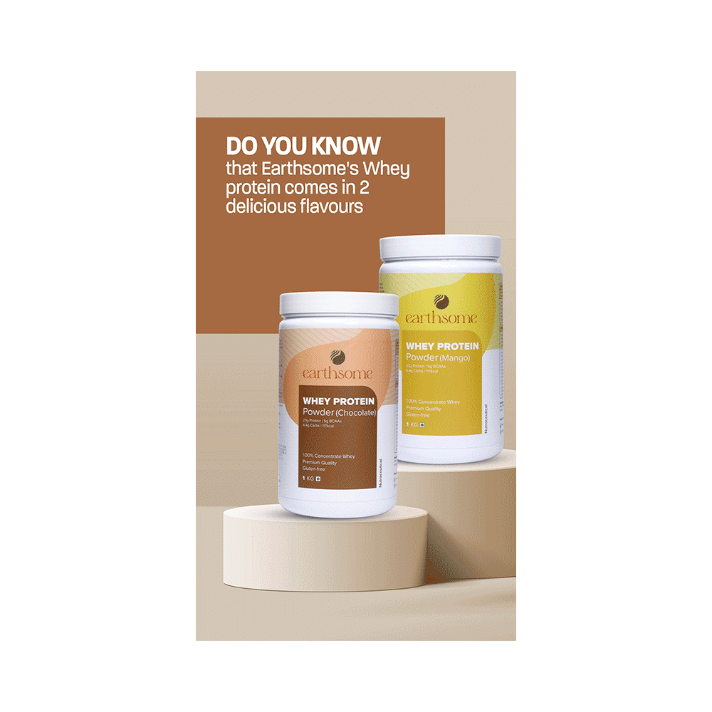 Earthsome Whey Protein Powder Gluten and Sugar Free Chocolate - Image 8