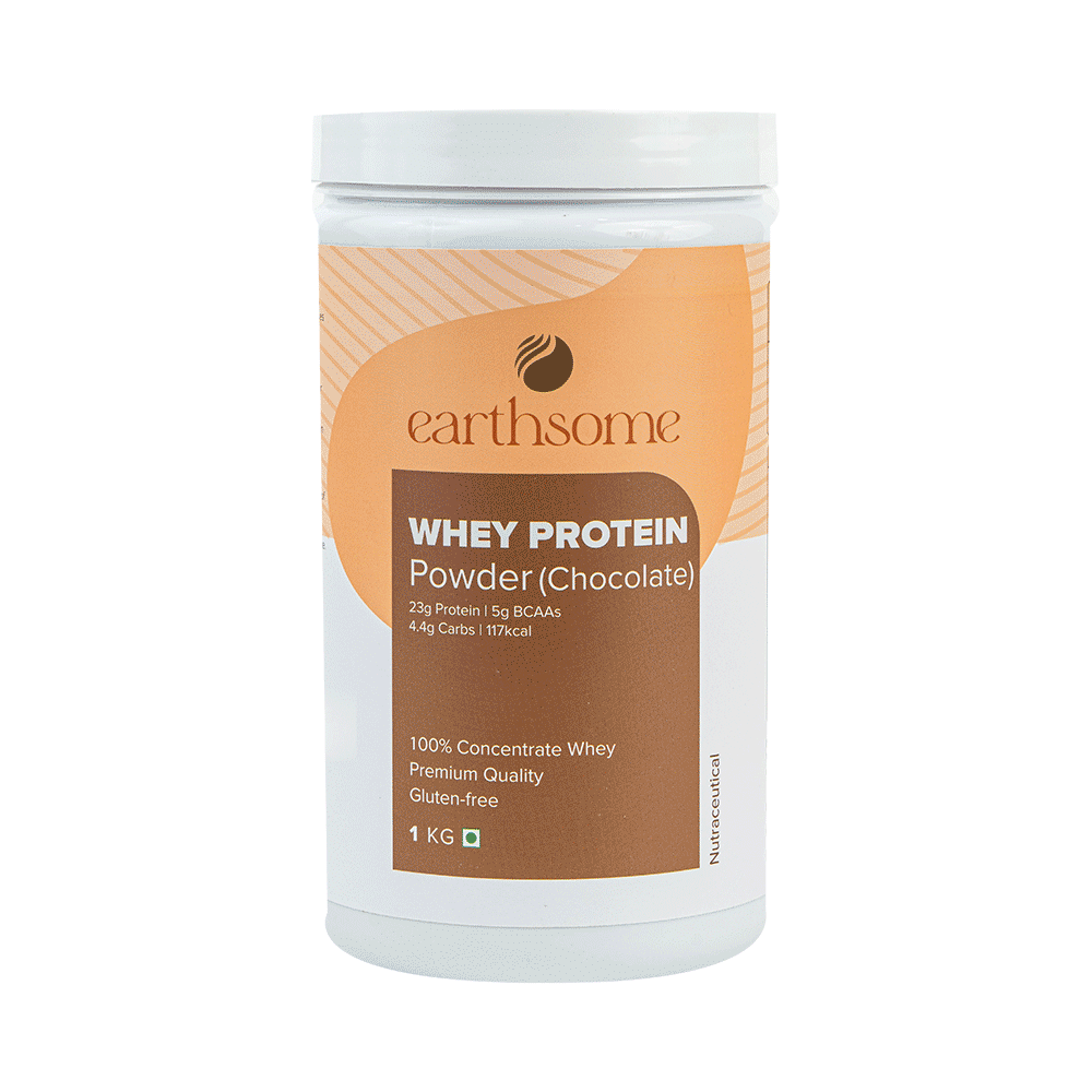 Earthsome Whey Protein Powder Gluten and Sugar Free Chocolate - Image 1