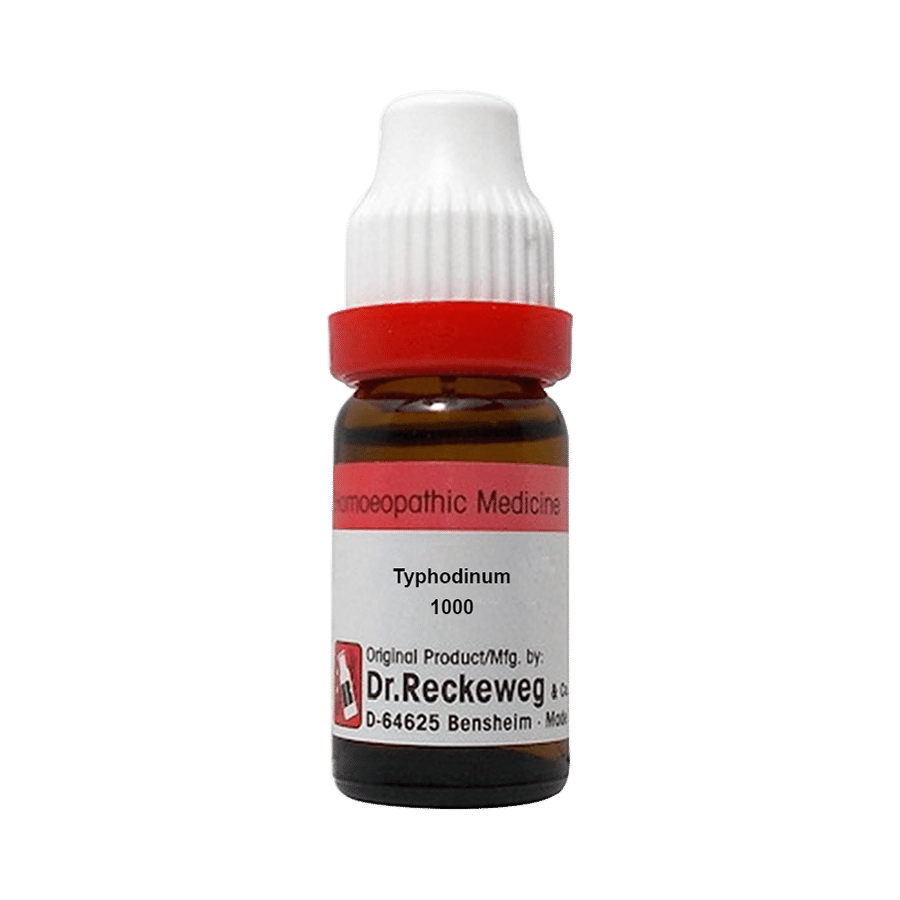 Dr. Reckeweg Typhodinum Dilution 1000 CH - Image 1