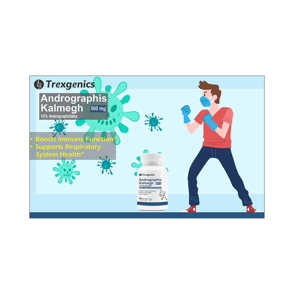 Trexgenics Andrographis Kalmegh 10% Andrographolides 500mg Veg Capsule - Image 4