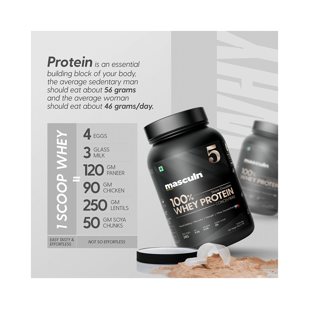 Masculn Whey Protein Concentrate Powder Divine Chocolate - Image 6