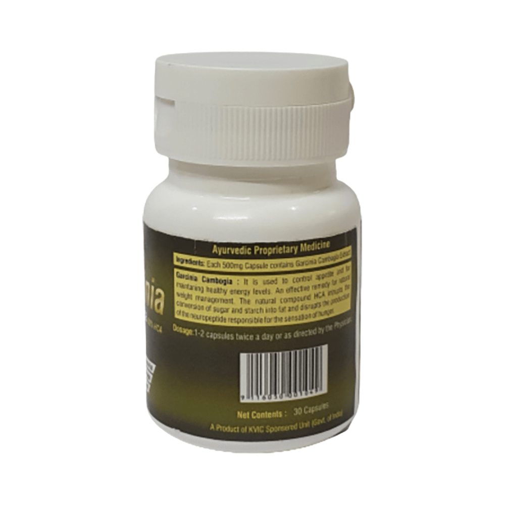 Deep Ayurveda Garcinia Cambogia Capsule - Image 3